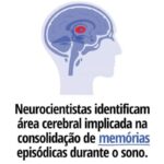 Area das memorias do sono no cerebro Andréia Costa Psicologa